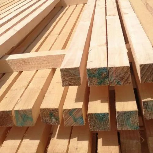 New Zealand Pine